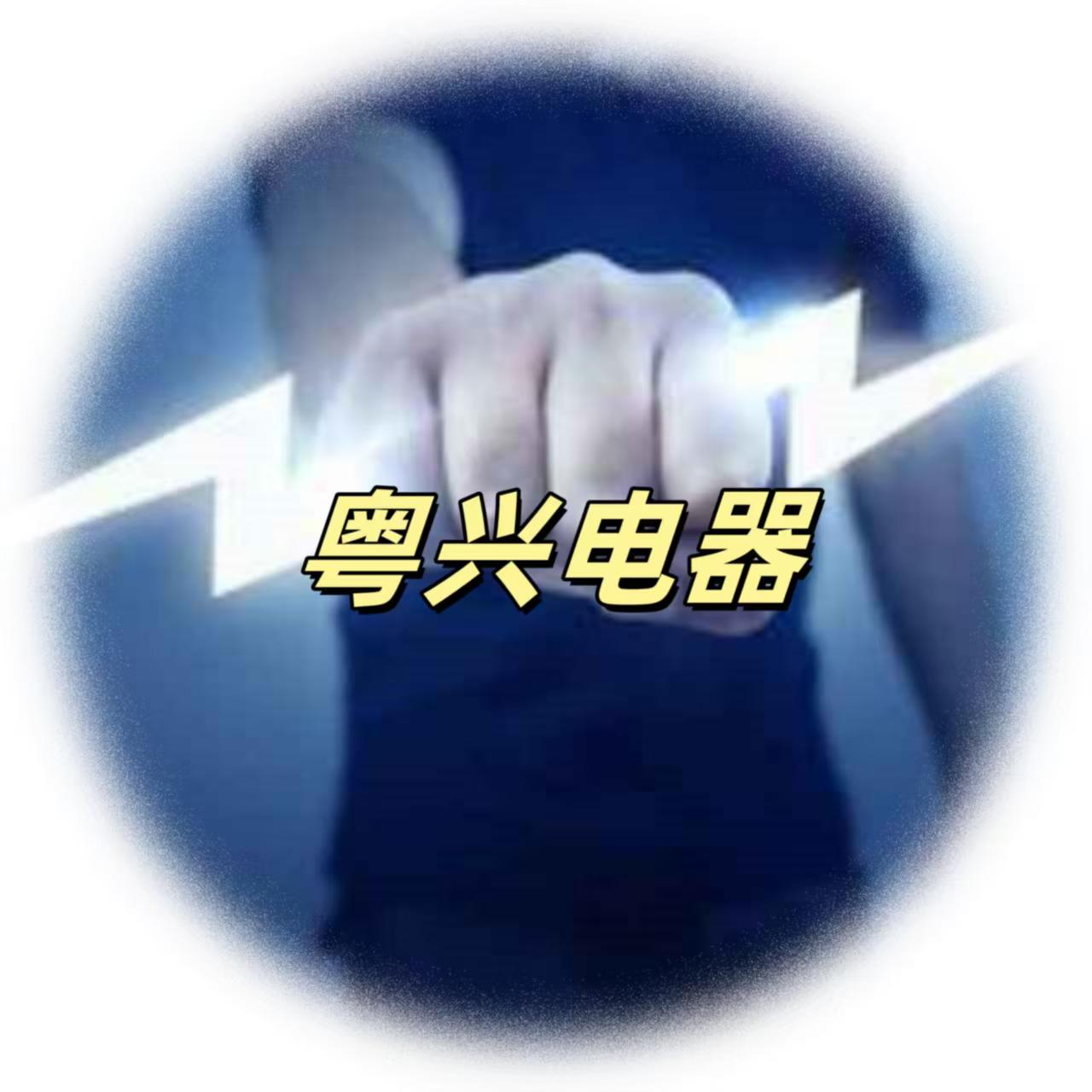 粤兴电器维修logo